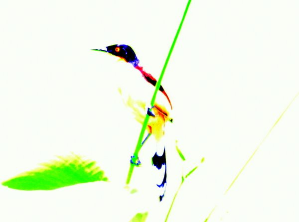 Arty Colombia Mystery - Overexposed.