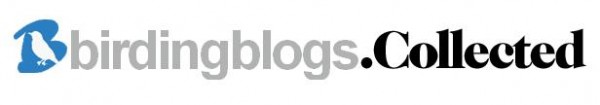 Birdingblogs collected