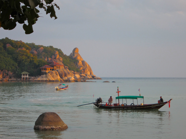 Post image for Birding & Diving Kho Tao, Thailand