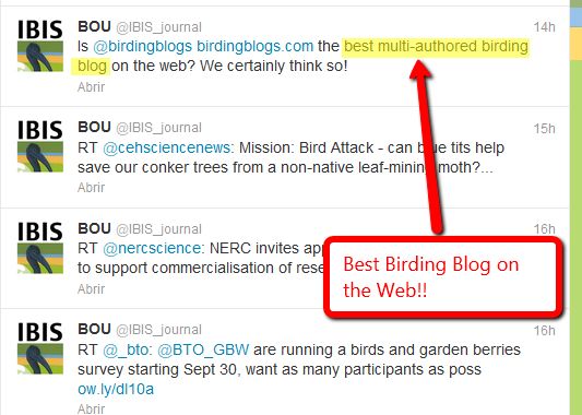 We are proud to hear that BOU/Ibis  blog nominated Birdingblogs to the best multi author birding ﻿blog on the Web. 