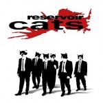 Front cover reservoir Cats