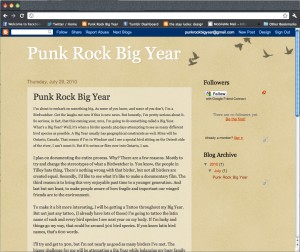 Punk Rock BIG YEAR blog BEFORE