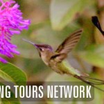 World Birding Tours Network